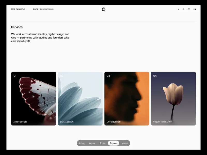 Fiber Framer template preview 3